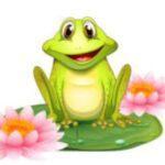 Froggy and Lily Pad Cookies (Beginner Class)