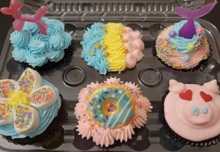 fun cupcakes Colorful decorated cupcakes in a plastic container.