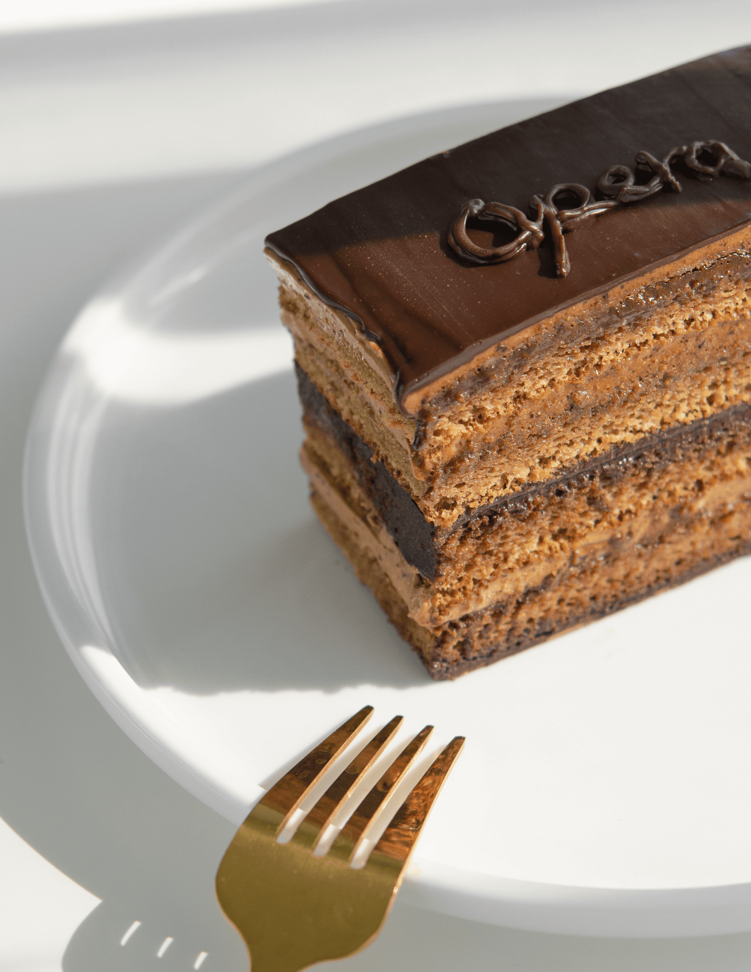 Delicious layered chocolate cake on a white plate, featuring rich chocolate ganache and intricate frosting, perfect for cake decorating and baking supplies from Over the Top Cake Supplies.