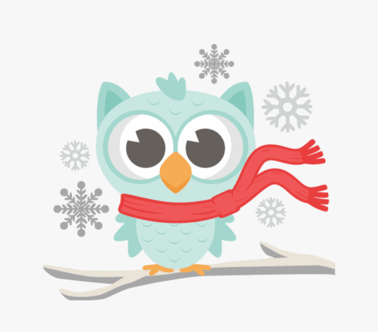 Decorative winter owl cake topper with colorful design, perfect for holiday cakes, winter birthdays, and seasonal celebrations. Adds festive charm to any cake or cupcake display.