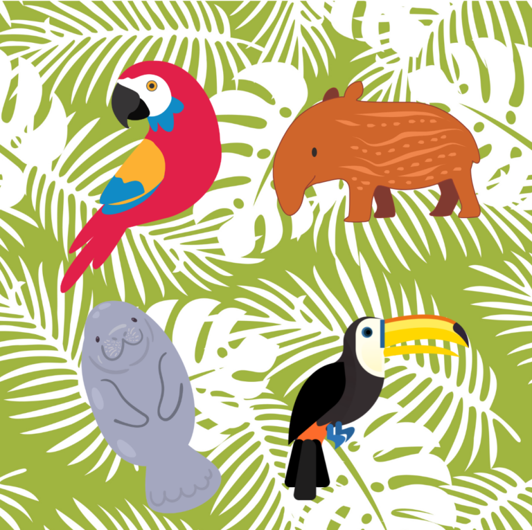 fd tropical friends cookies web fd tropical friends cookies web