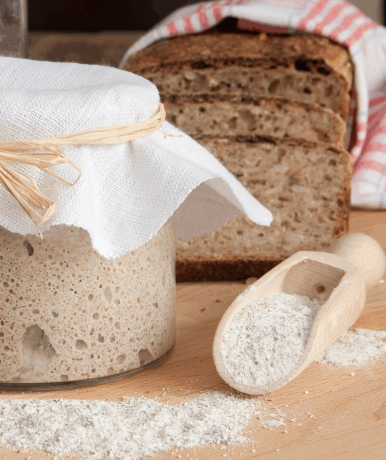 rye sourdough (1) rye sourdough (1)