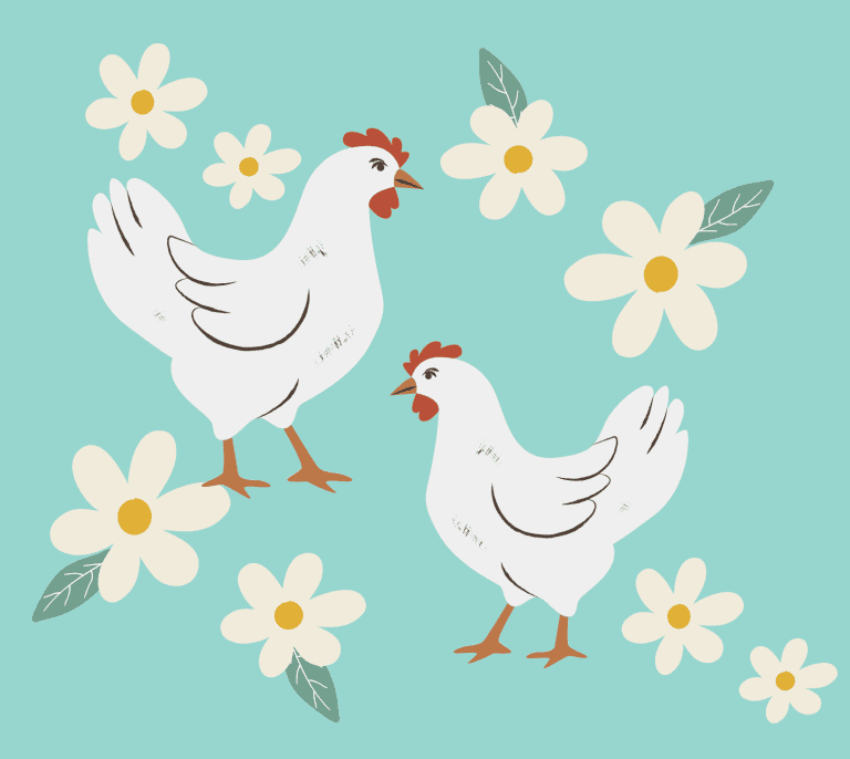 chicken doodle