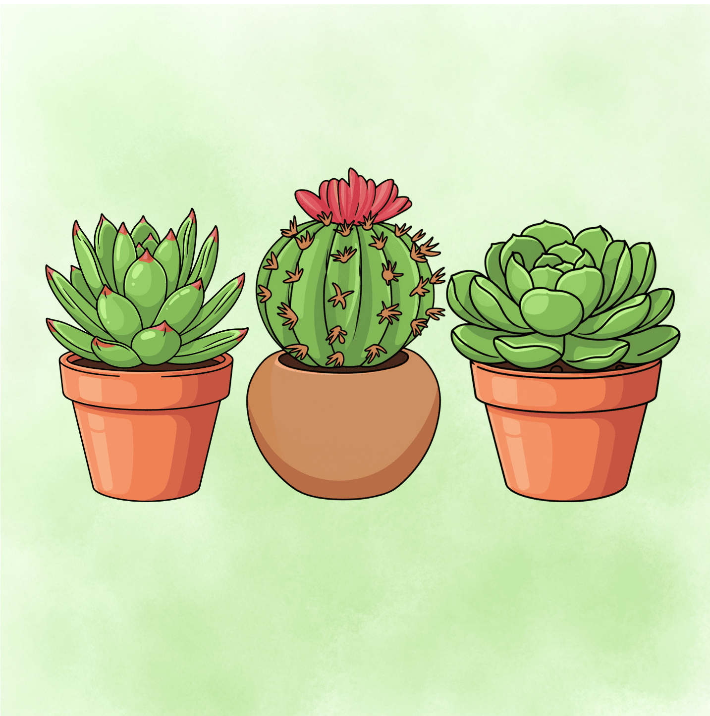 Three illustrated succulent plants in terracotta pots, perfect for cake decorating supplies and succulent-themed cake designs.